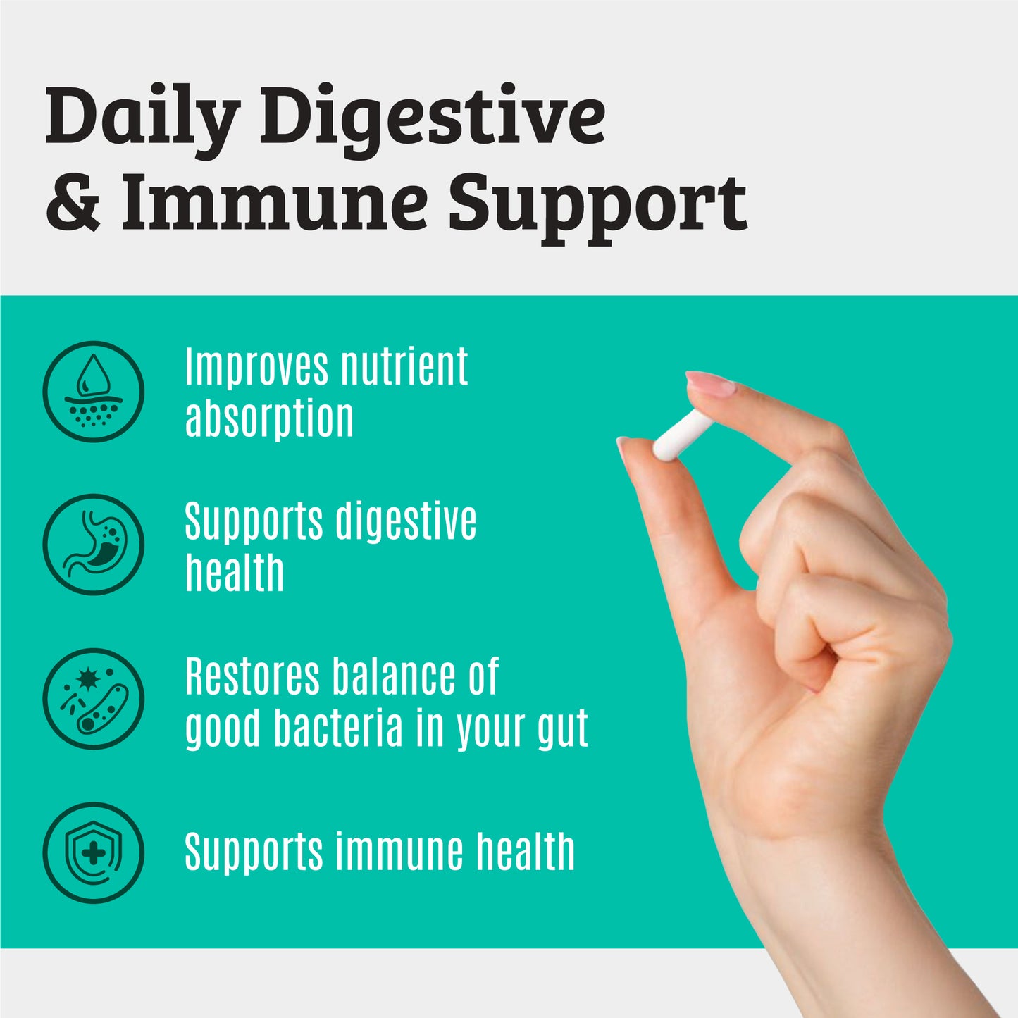 Probiotic Supplement with Prebiotic. 15 Strains. 50 Billion CFU.