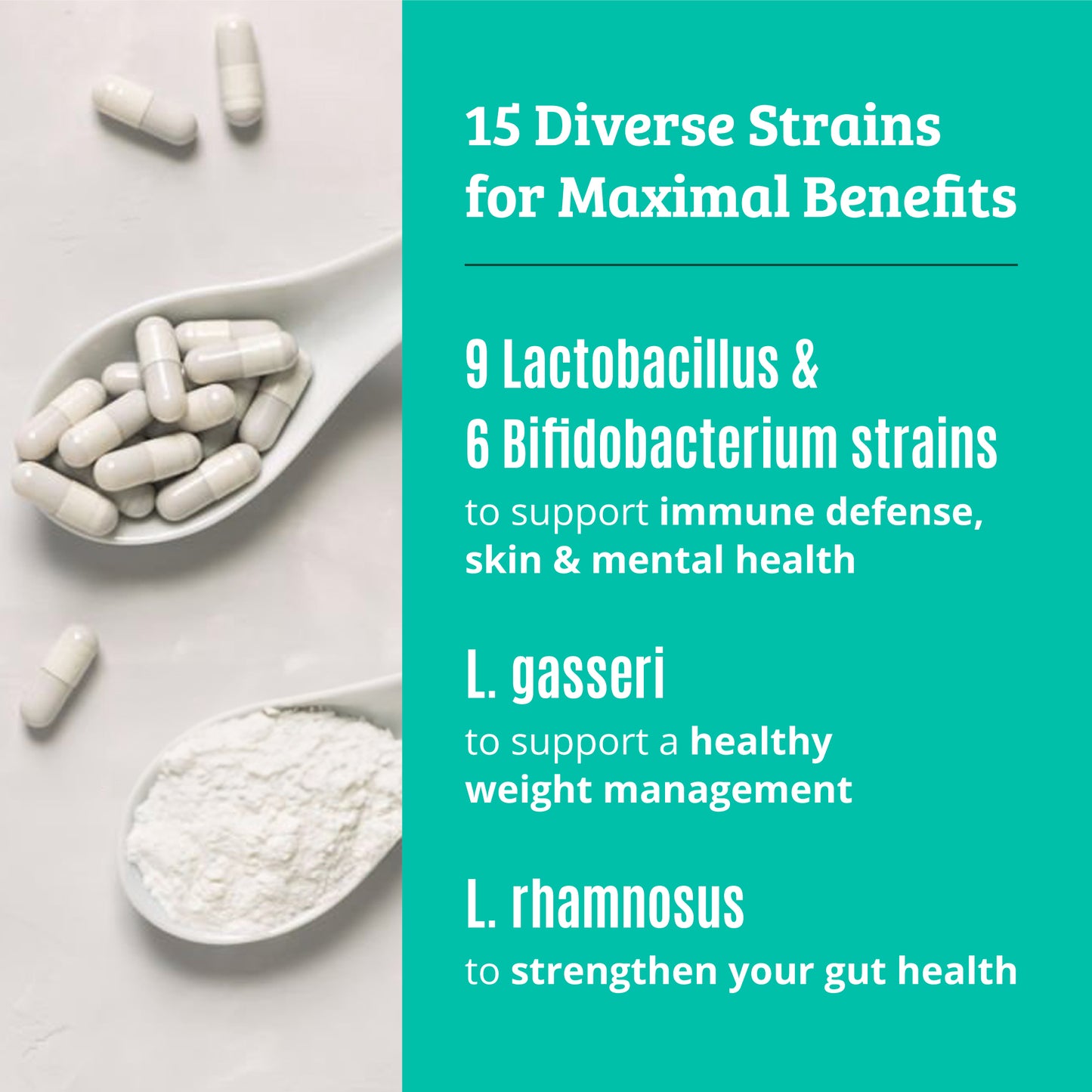 Probiotic Supplement with Prebiotic. 15 Strains. 50 Billion CFU.