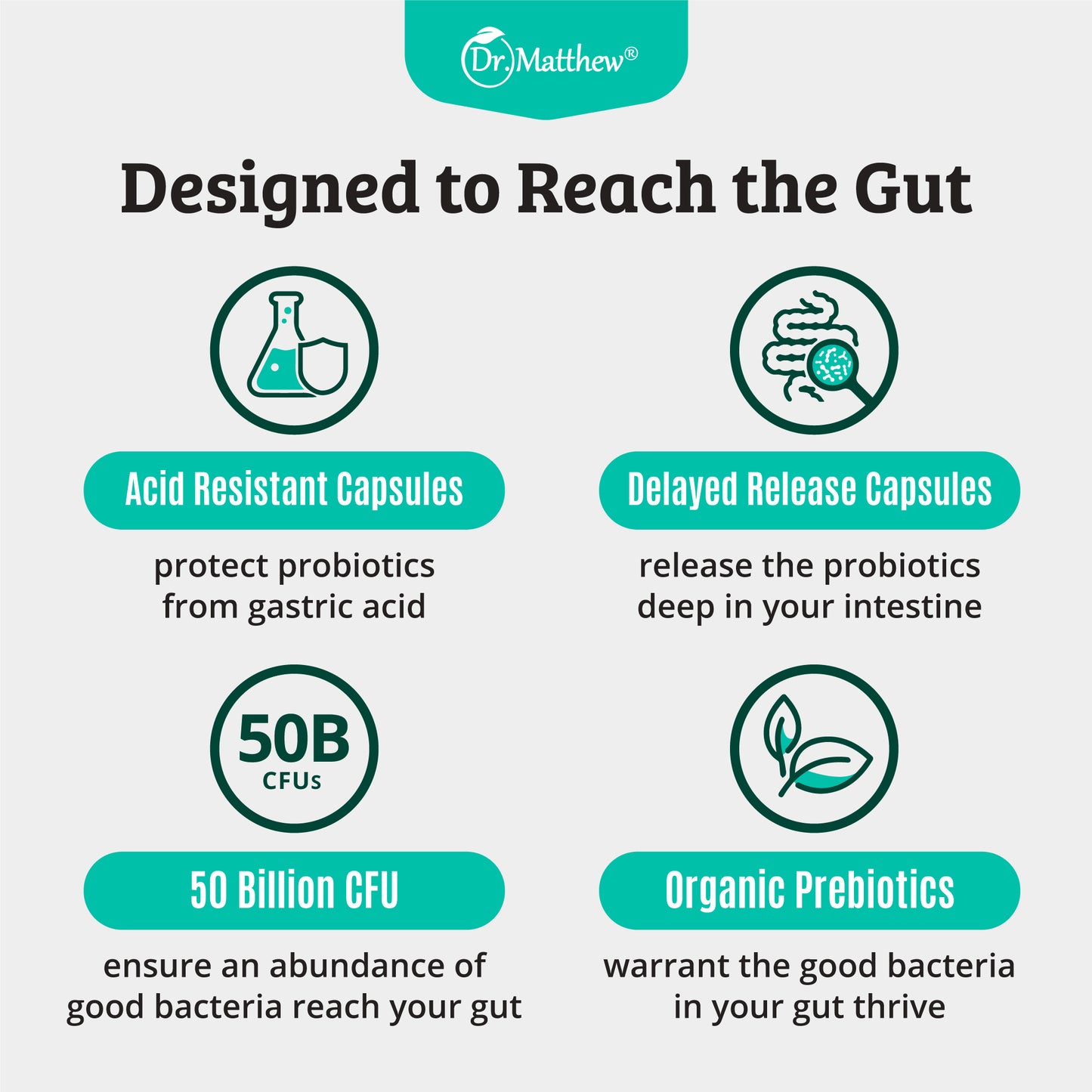 Probiotic Supplement with Prebiotic. 15 Strains. 50 Billion CFU.