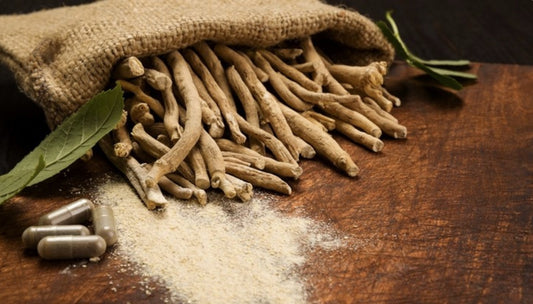 Why is Shoden® Superior to Other Forms of Ashwagandha?