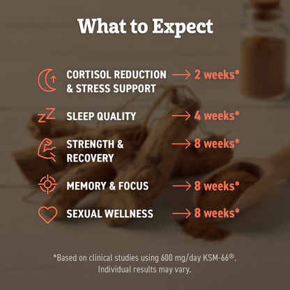 Organic Ashwagandha KSM 66 Capsules